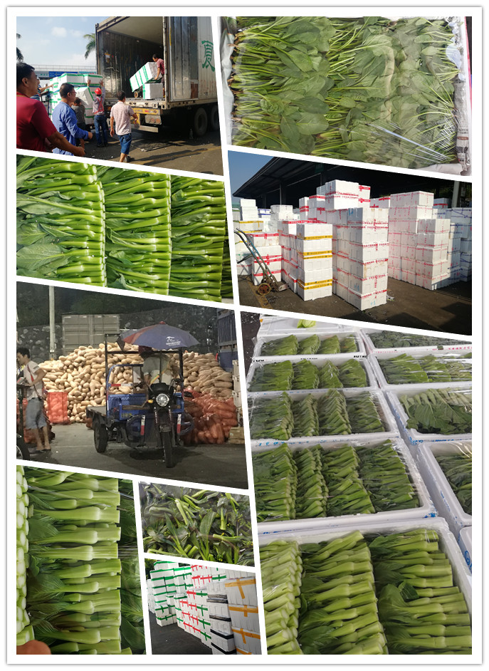 欧宝OB(中国集团)有限公司官网