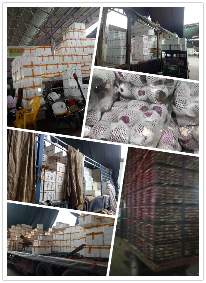 欧宝OB(中国集团)有限公司官网