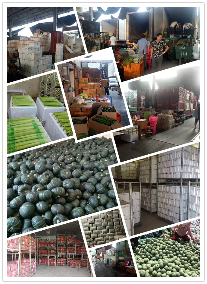 欧宝OB(中国集团)有限公司官网