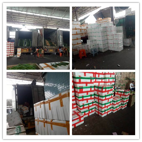 欧宝OB(中国集团)有限公司官网