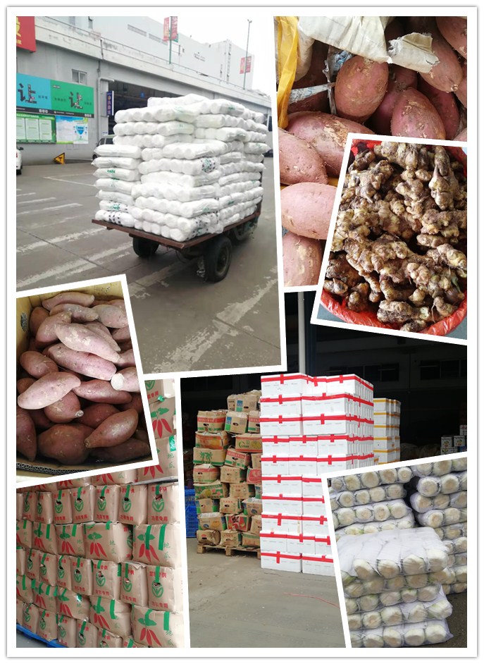 欧宝OB(中国集团)有限公司官网