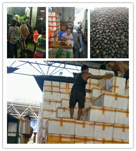 欧宝OB(中国集团)有限公司官网