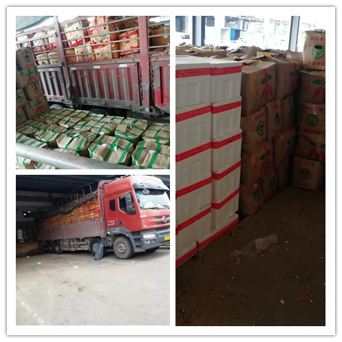 欧宝OB(中国集团)有限公司官网