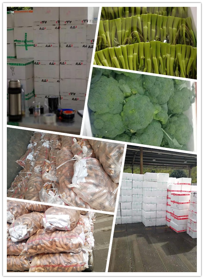 欧宝OB(中国集团)有限公司官网