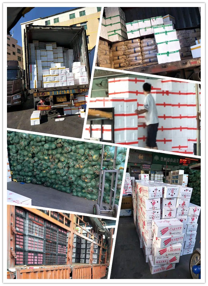 欧宝OB(中国集团)有限公司官网