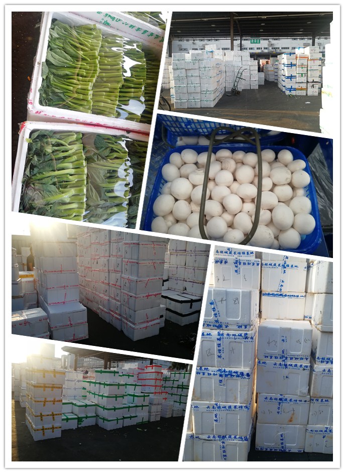 欧宝OB(中国集团)有限公司官网