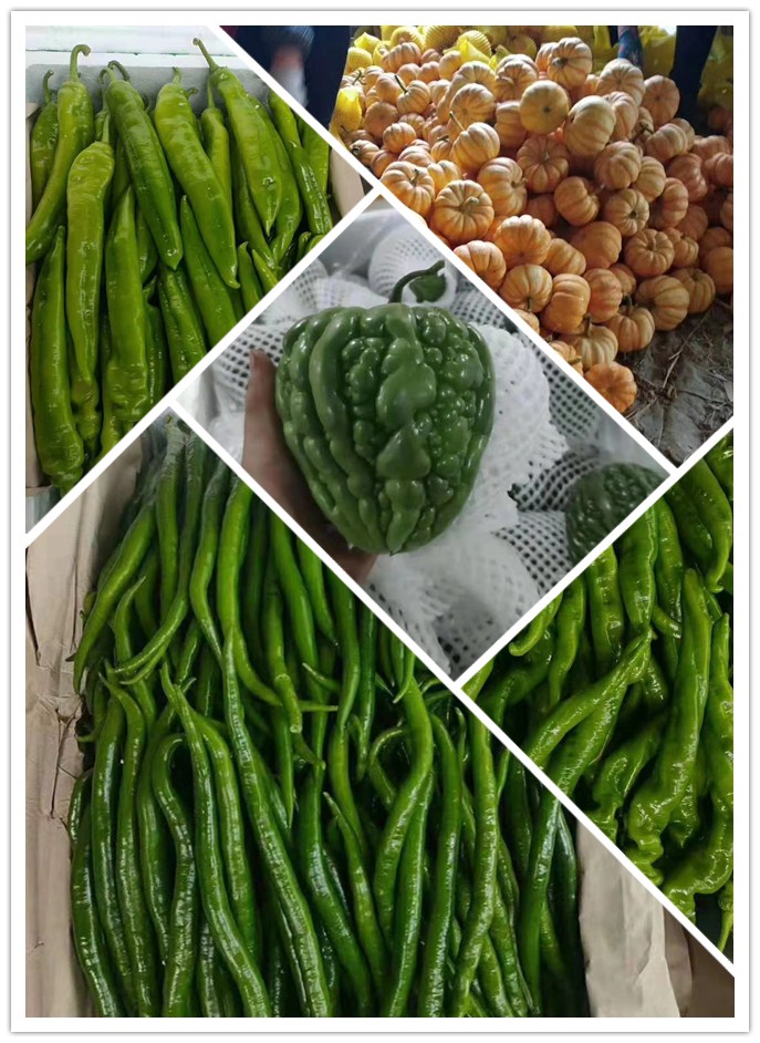 欧宝OB(中国集团)有限公司官网