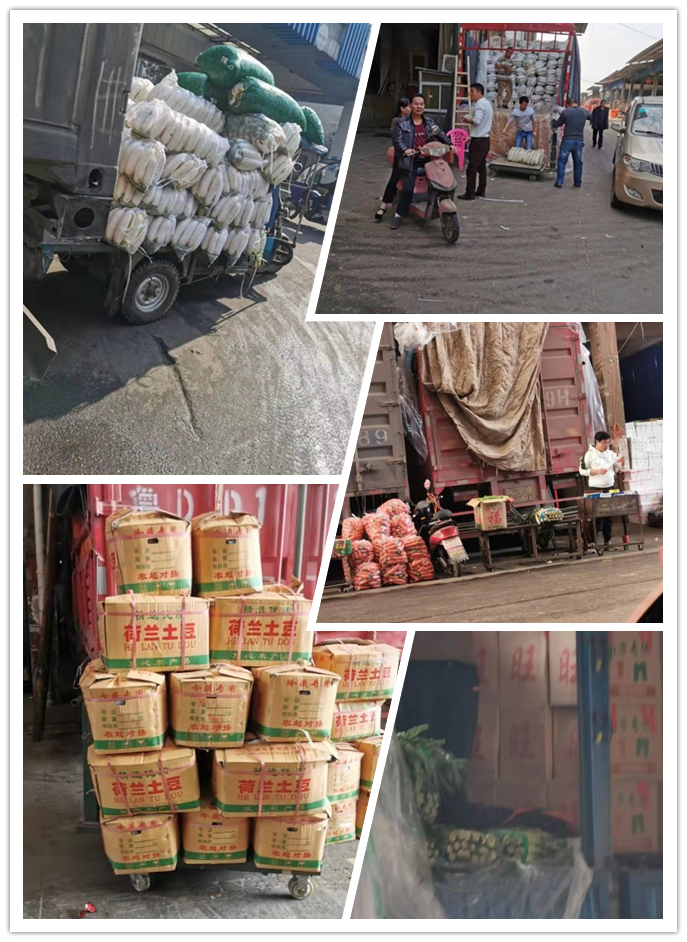 欧宝OB(中国集团)有限公司官网