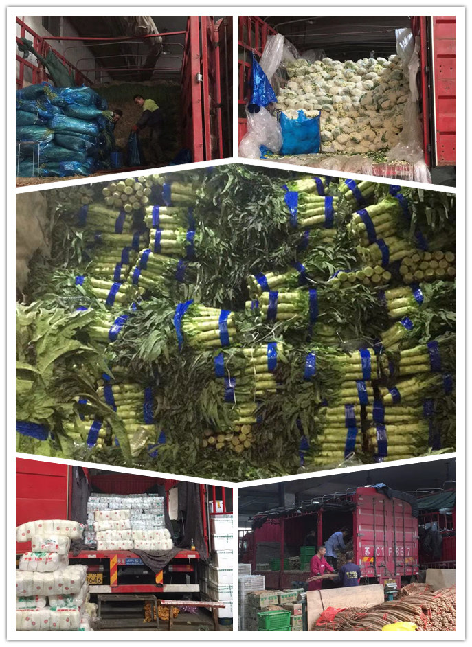 欧宝OB(中国集团)有限公司官网