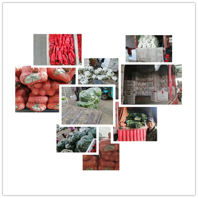 欧宝OB(中国集团)有限公司官网