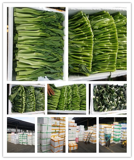 欧宝OB(中国集团)有限公司官网