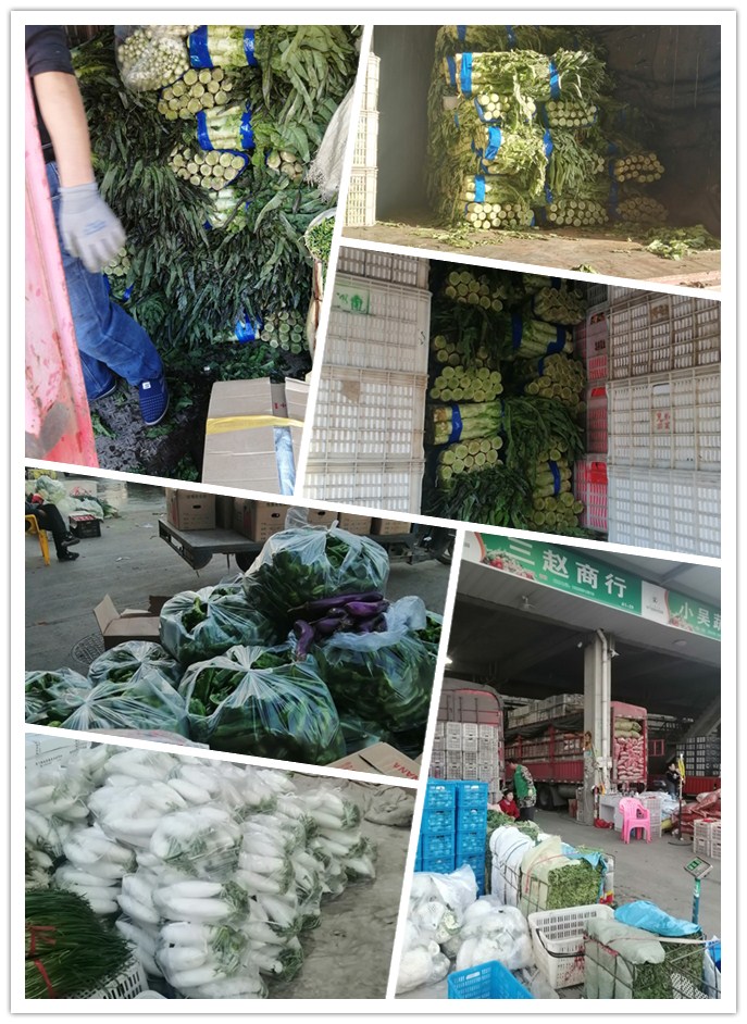 欧宝OB(中国集团)有限公司官网