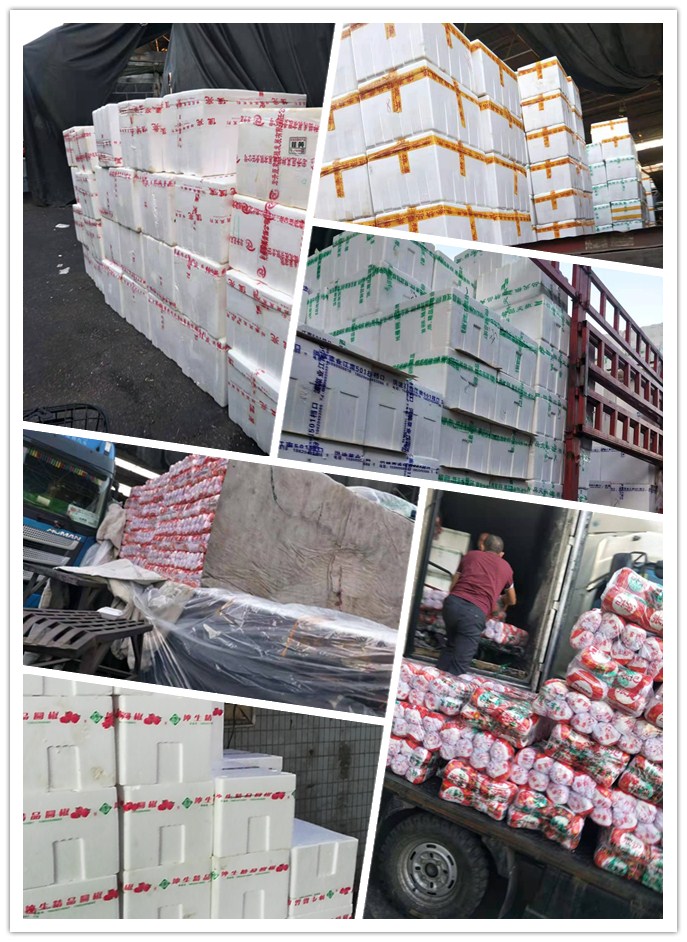 欧宝OB(中国集团)有限公司官网