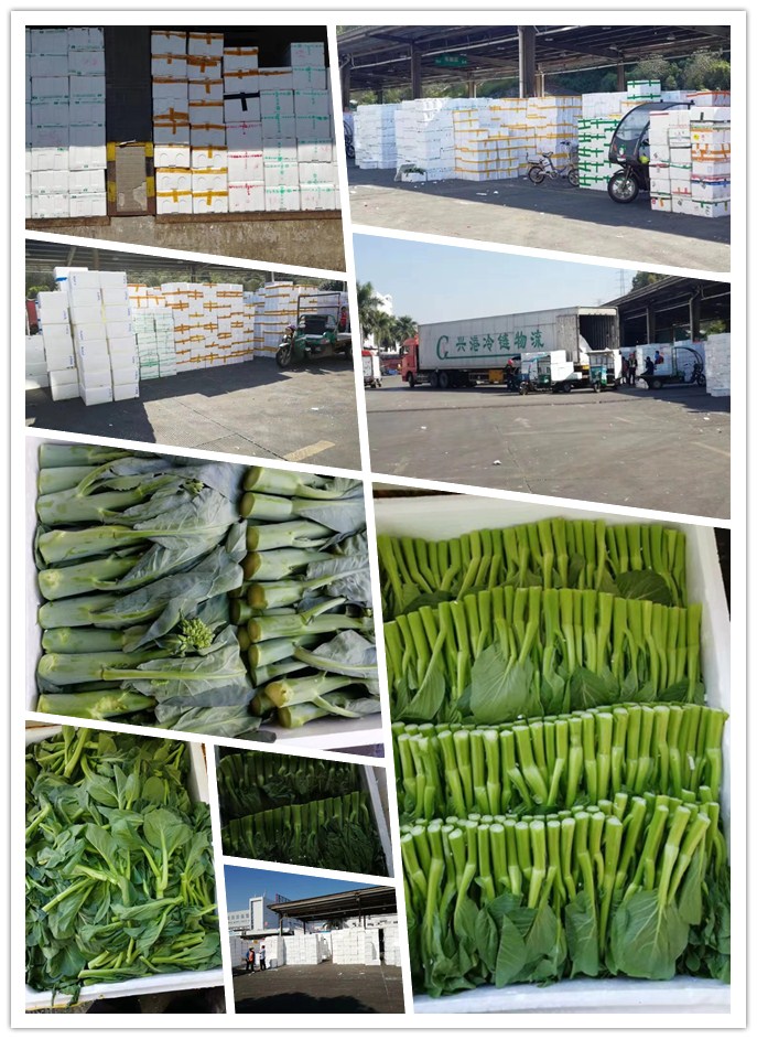 欧宝OB(中国集团)有限公司官网