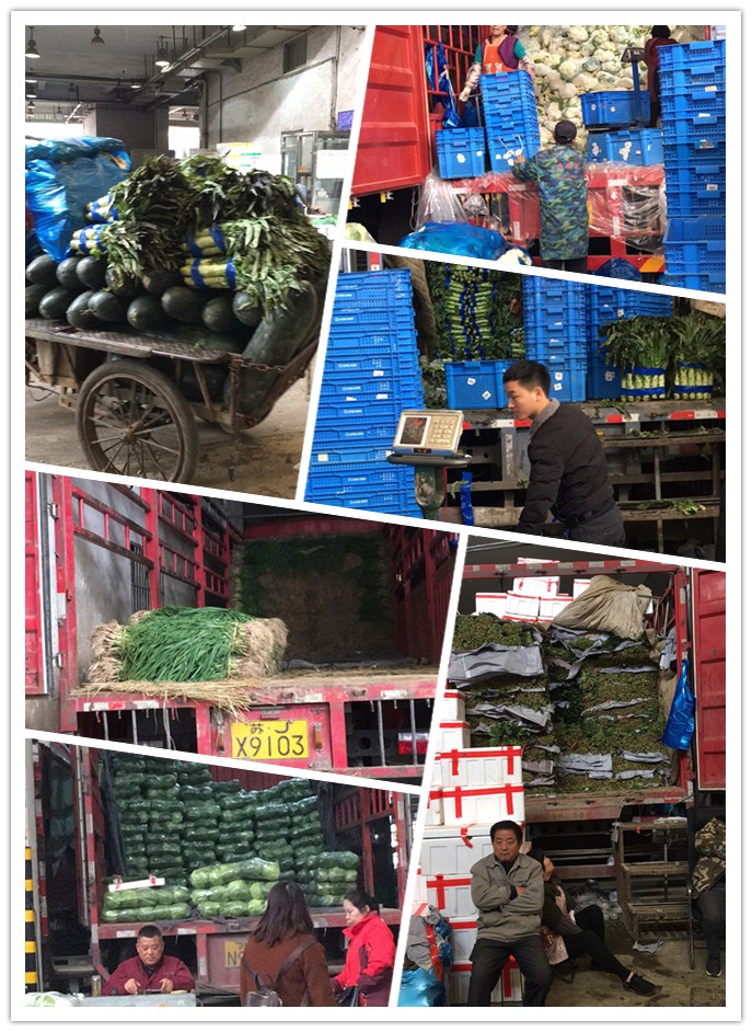 欧宝OB(中国集团)有限公司官网