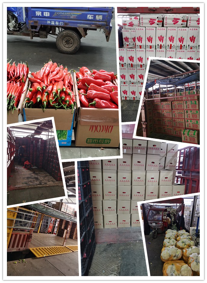 欧宝OB(中国集团)有限公司官网