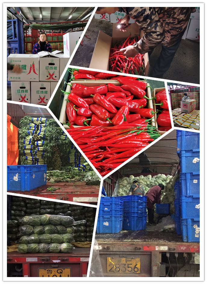 欧宝OB(中国集团)有限公司官网