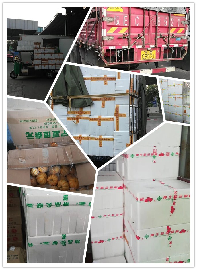 欧宝OB(中国集团)有限公司官网