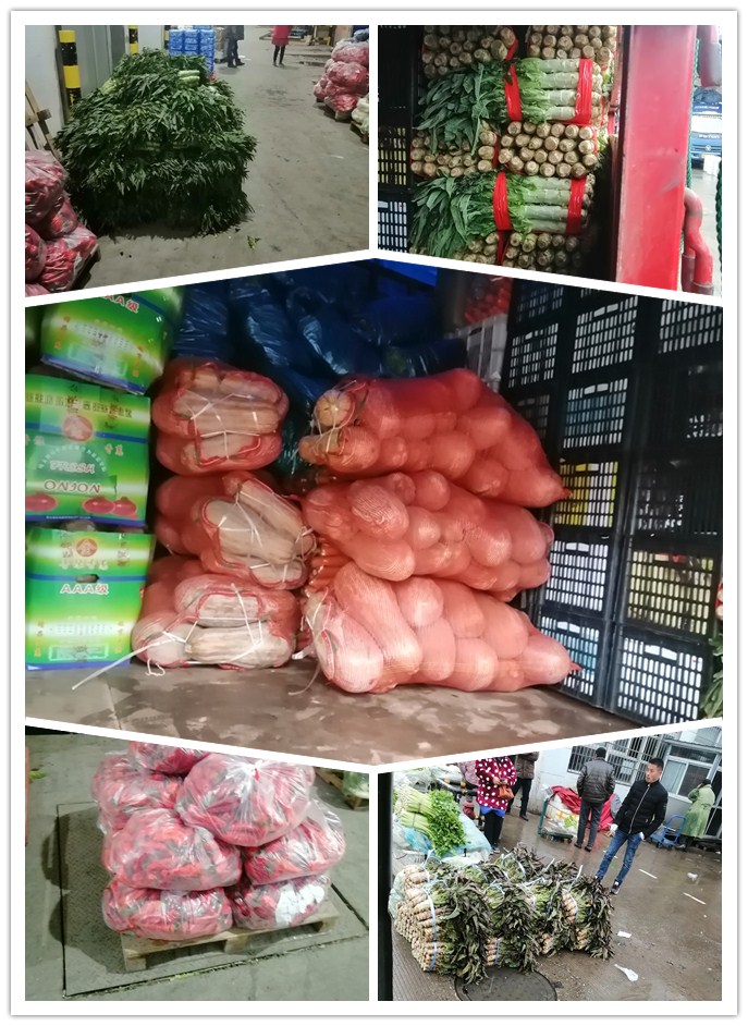 欧宝OB(中国集团)有限公司官网