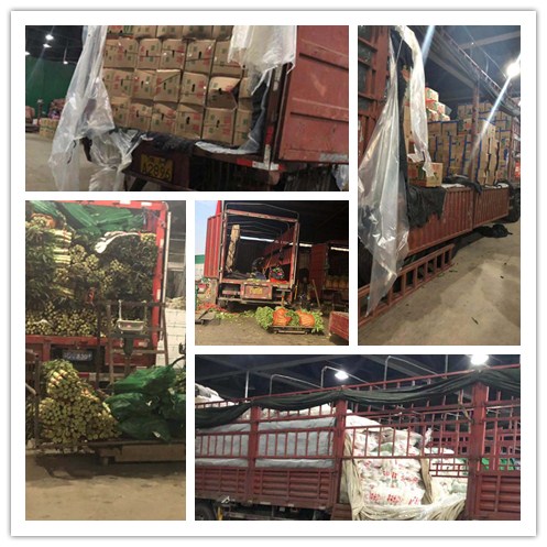 欧宝OB(中国集团)有限公司官网