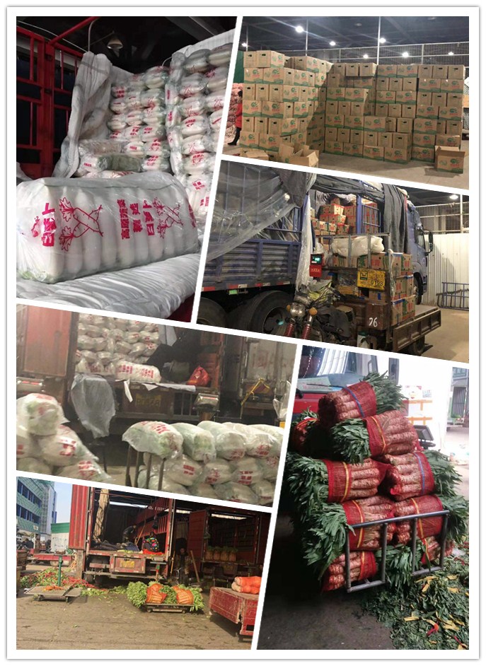 欧宝OB(中国集团)有限公司官网