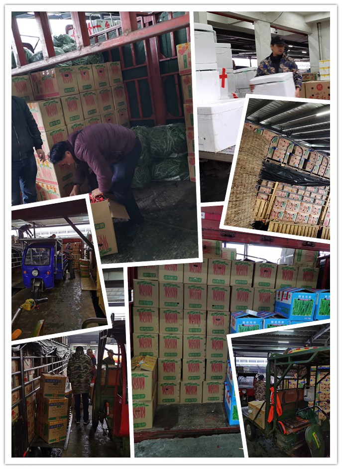 欧宝OB(中国集团)有限公司官网