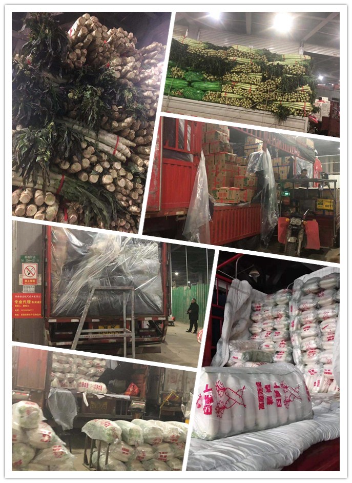 欧宝OB(中国集团)有限公司官网