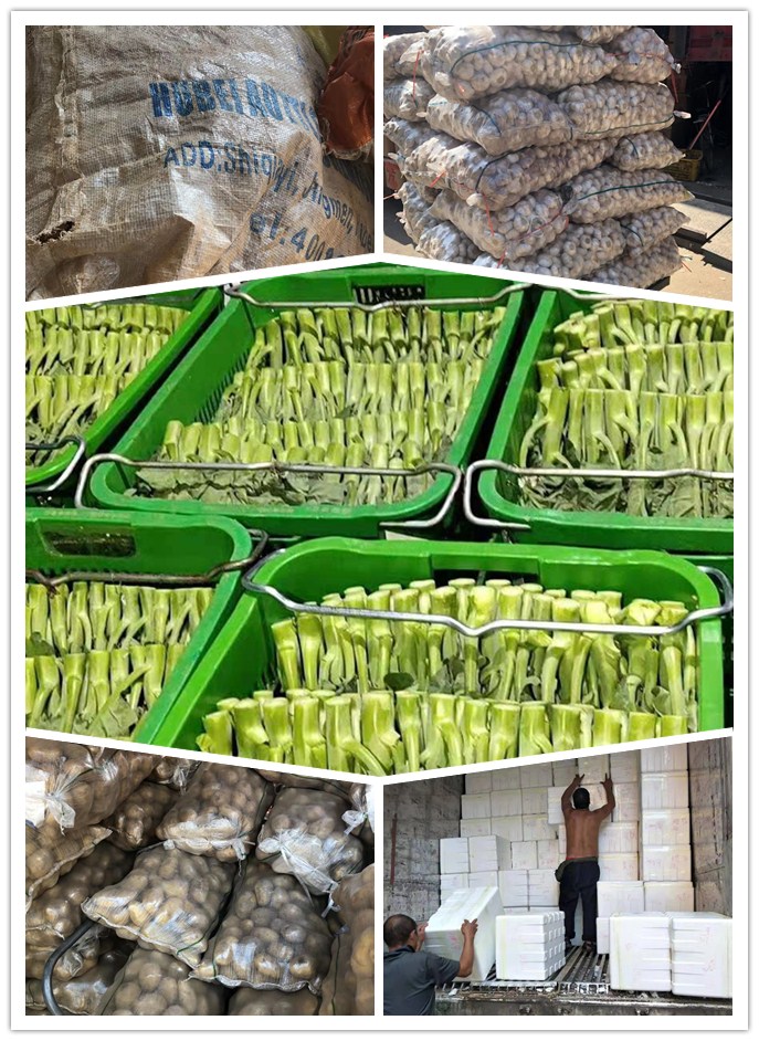 欧宝OB(中国集团)有限公司官网