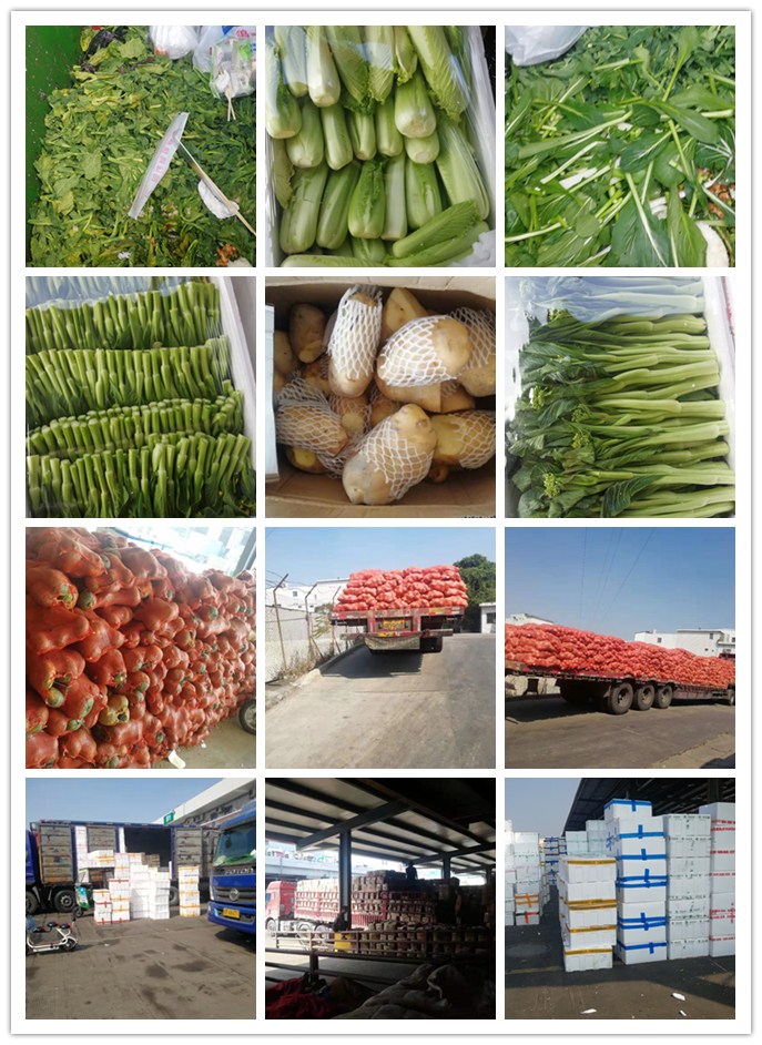 欧宝OB(中国集团)有限公司官网