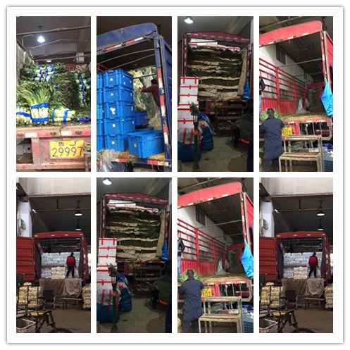 欧宝OB(中国集团)有限公司官网