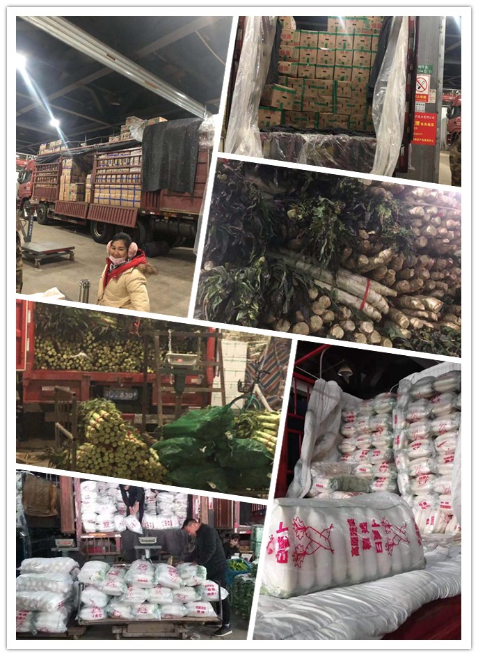 欧宝OB(中国集团)有限公司官网