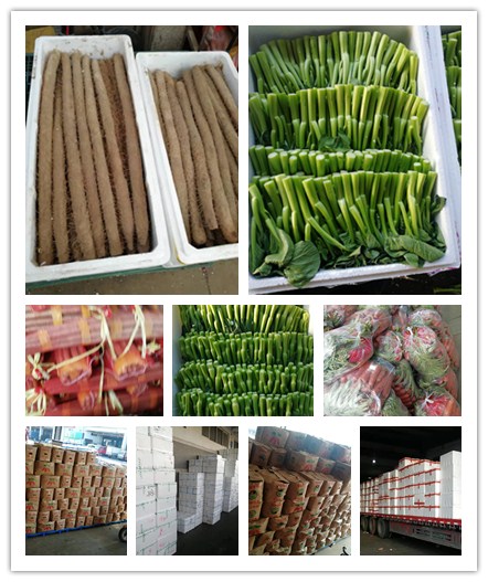 欧宝OB(中国集团)有限公司官网