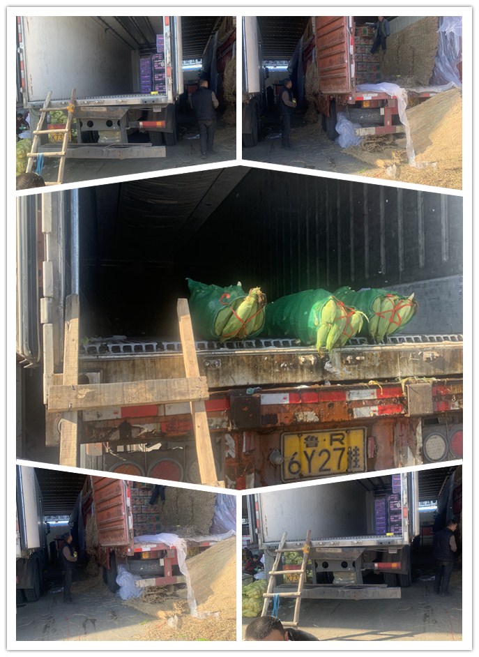 欧宝OB(中国集团)有限公司官网