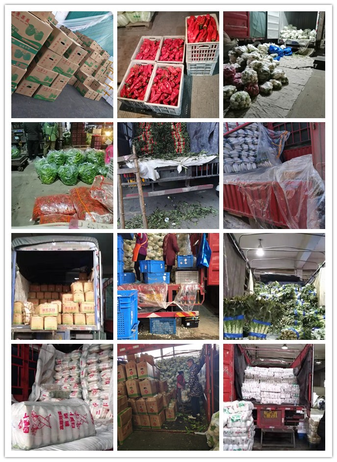 欧宝OB(中国集团)有限公司官网