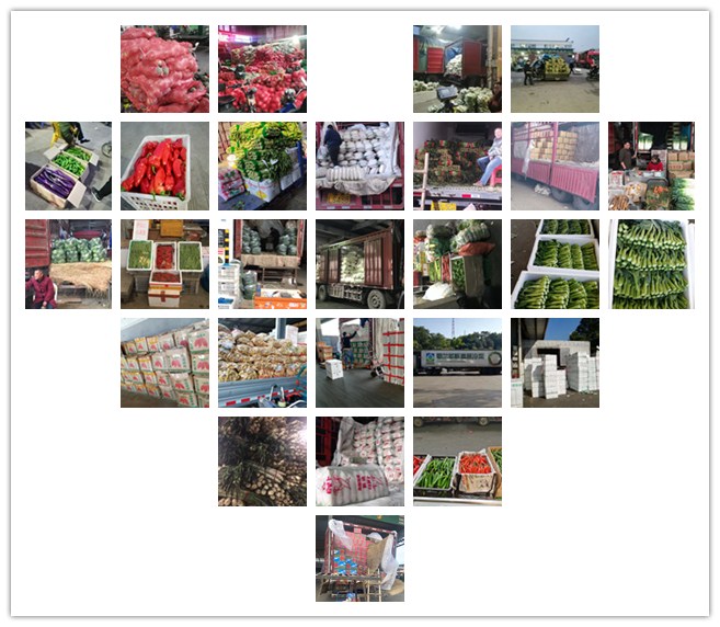 欧宝OB(中国集团)有限公司官网