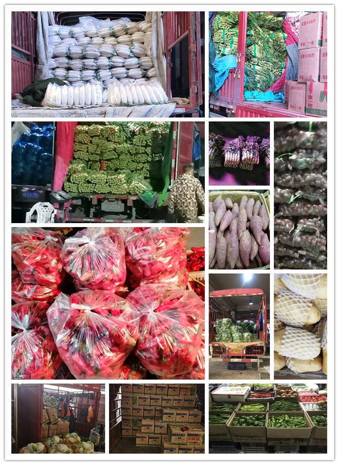 欧宝OB(中国集团)有限公司官网