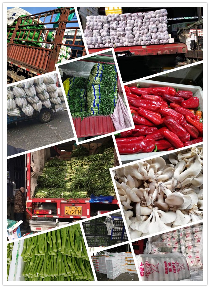 欧宝OB(中国集团)有限公司官网