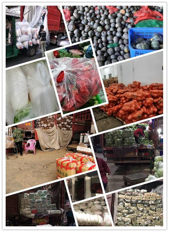 欧宝OB(中国集团)有限公司官网