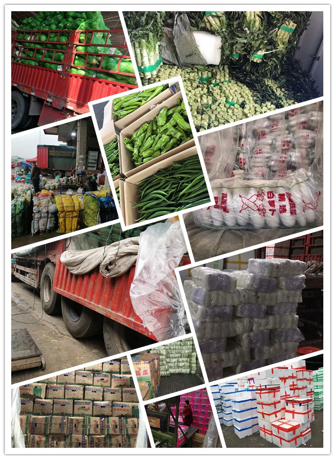 欧宝OB(中国集团)有限公司官网