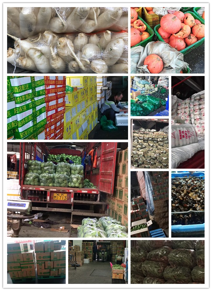 欧宝OB(中国集团)有限公司官网