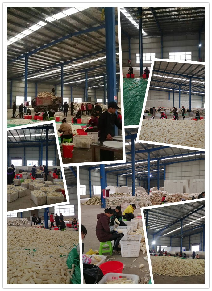 欧宝OB(中国集团)有限公司官网