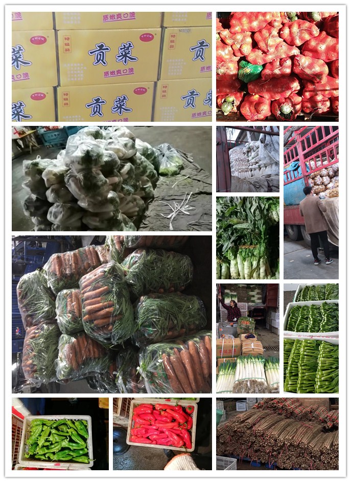 欧宝OB(中国集团)有限公司官网