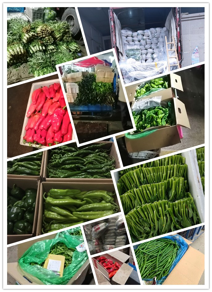 欧宝OB(中国集团)有限公司官网