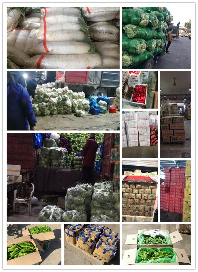 欧宝OB(中国集团)有限公司官网