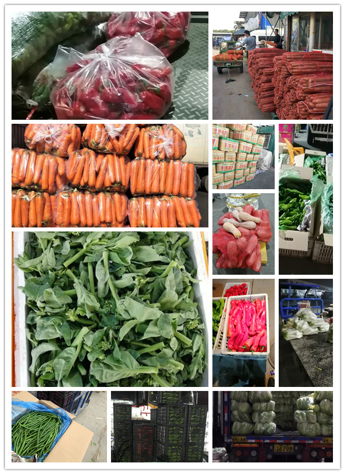 欧宝OB(中国集团)有限公司官网