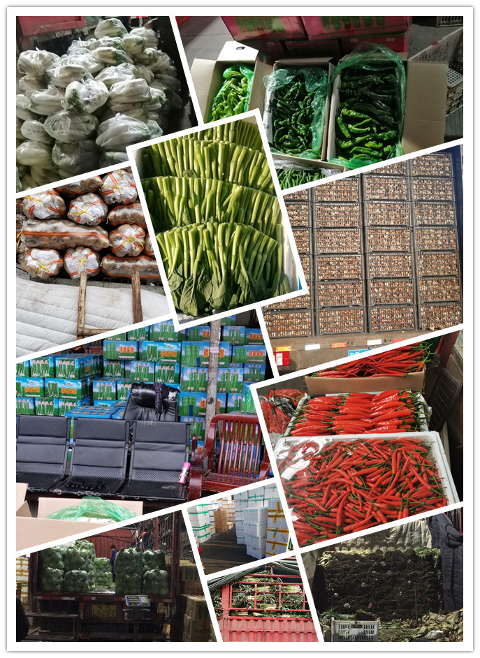 欧宝OB(中国集团)有限公司官网