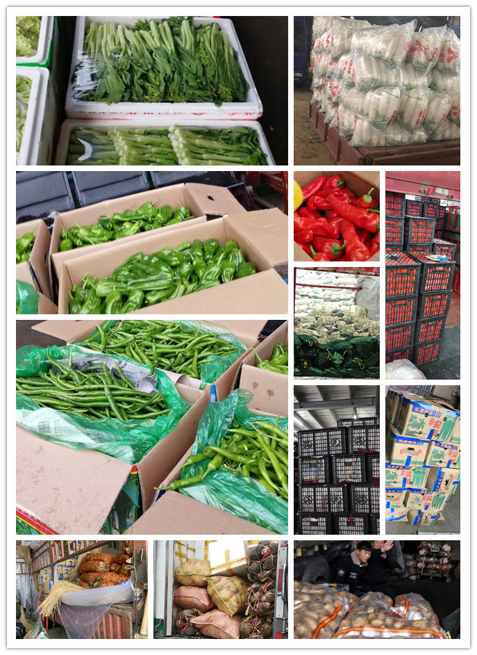 欧宝OB(中国集团)有限公司官网