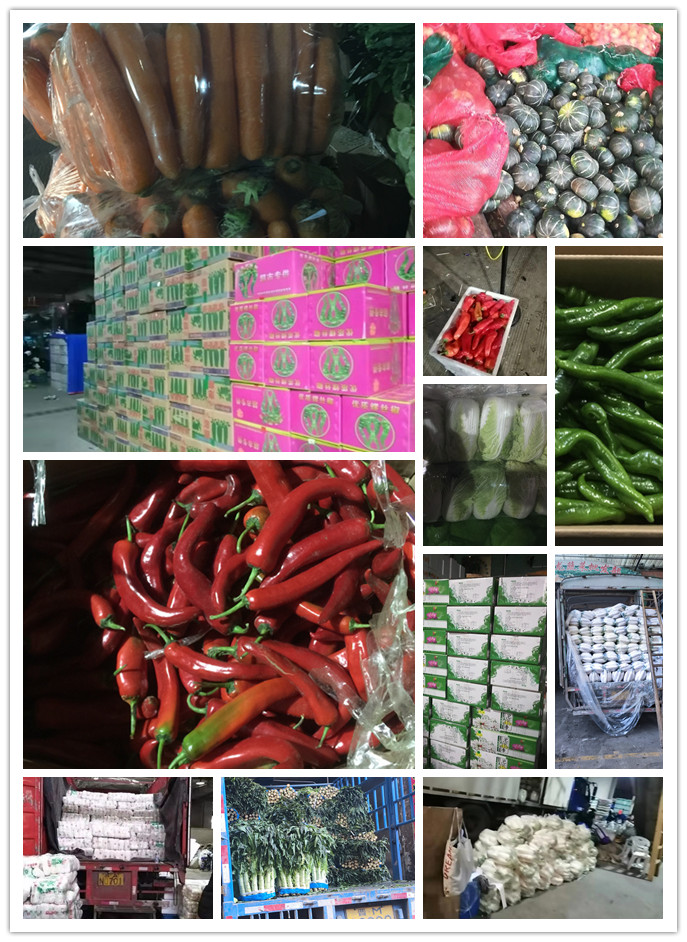 欧宝OB(中国集团)有限公司官网