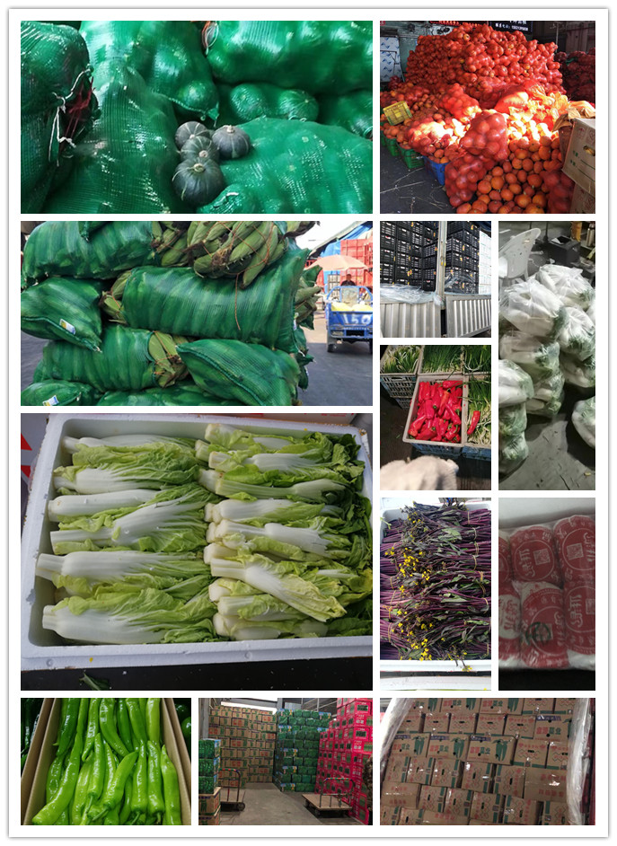 欧宝OB(中国集团)有限公司官网