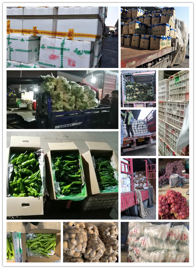 欧宝OB(中国集团)有限公司官网